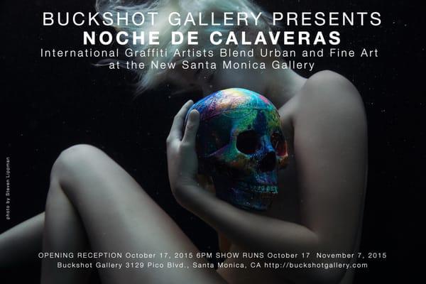 Buckshot Gallery