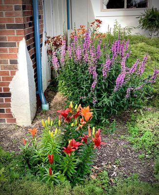 Beautiful flowers on the vineyard grounds.