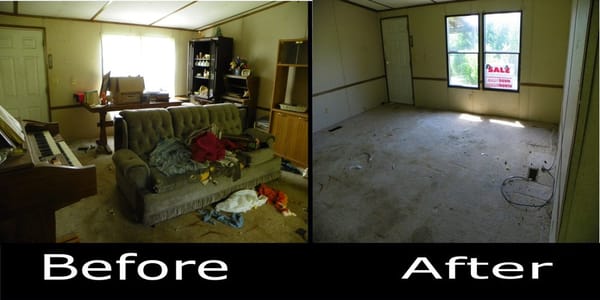 Living Room before and after