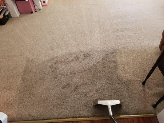 Carpet Cleaning - Very Soiled Carpet