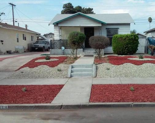 DreamScapes Drought Tolerant Lawn Design