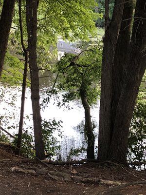 Russell Mill Pond & Town Forest