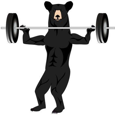 New logo bear with some abs!