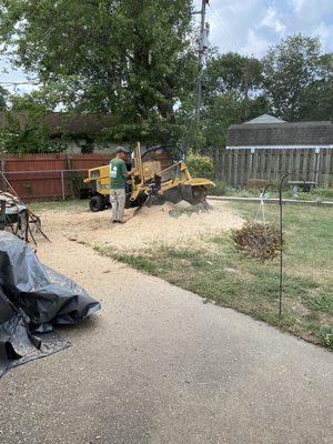 Grinding the stump