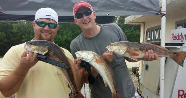 Fort Myers Redfish