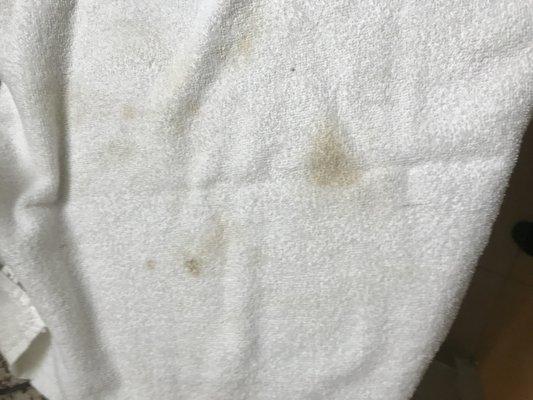 Sample of the filthy, stained towels