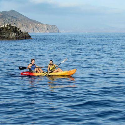 Kayak Rental