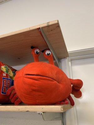 Mr Krabs looking down at you