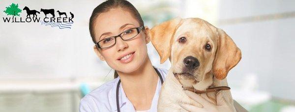 Willow Creek Veterinary Services