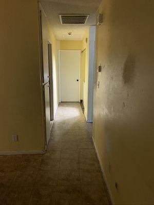 Entry hallway before