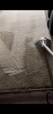 MCT Carpet Care