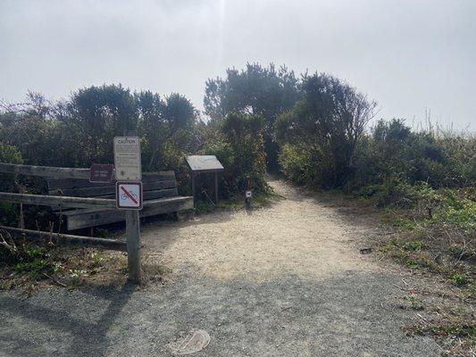 The trail head right next to the path that leads to the beach. This trail goes around Washburn campground.