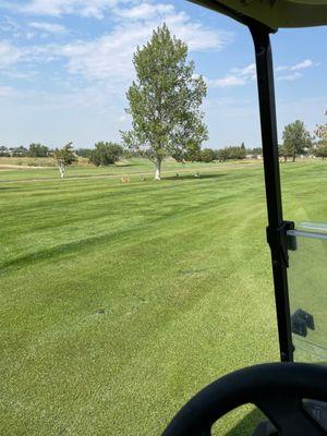 Beautiful day for golf