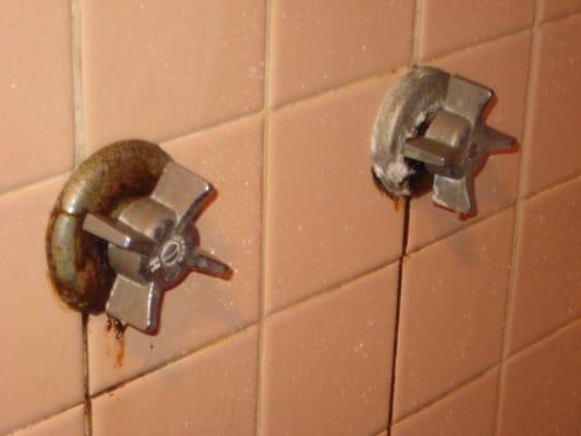 Shower knobs