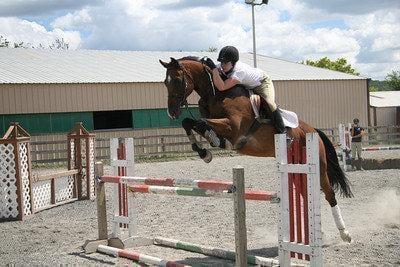 Top Notch Equestrian Centre