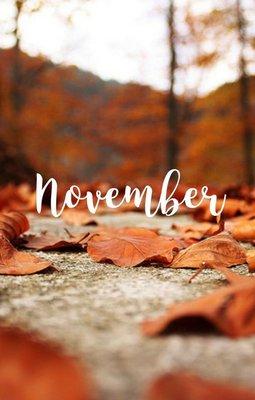 November Hair Month!