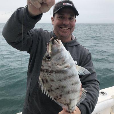 bill with a nice porgy