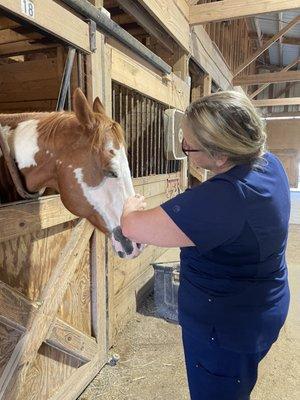 Equine Therapy, hospice, care, services, palliative