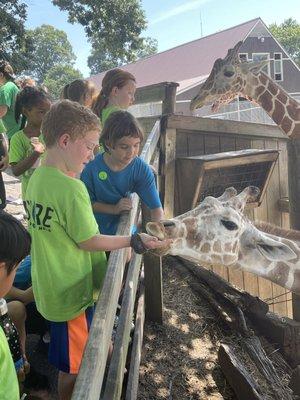 Having fun at the Richmond Zoo