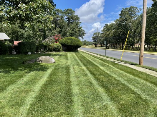 Lawn stripes