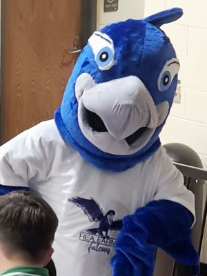 School Mascot:  Falcon