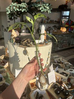 Plant Propagation