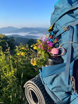 Hikes with Interns