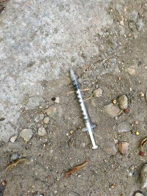 syringe in front of property