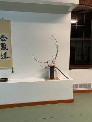 Zenshinkan Aikido Dojo