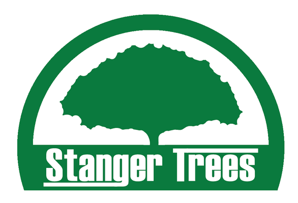 Stanger Trees