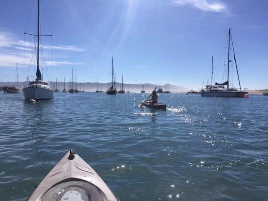 Exploring the Harbor in Morro Bay