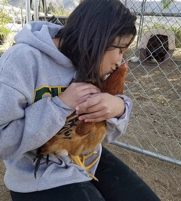 I rescued lucky from this slaughterhouse. The owners wife was an amazing woman for sparing a chickens life