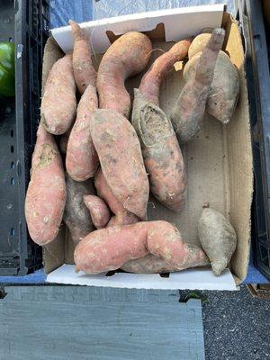 Sweet potatoes