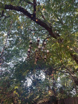 Chandelier in the trees