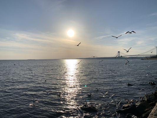 Sunset with the Verrazzano Bridge