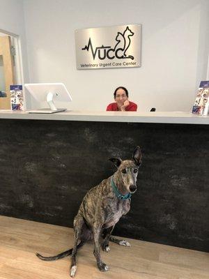 Tara and Freddy hanging in the new reception area in our Plymouth spot!