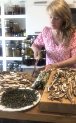 I harvest many of the plants and mushrooms myself, using ethical wildcrafting.