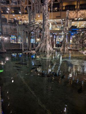 Bass Pro Shop in Memphis, TN