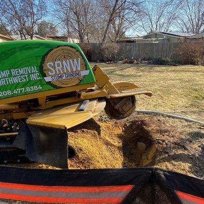 Boise Stump Grinders