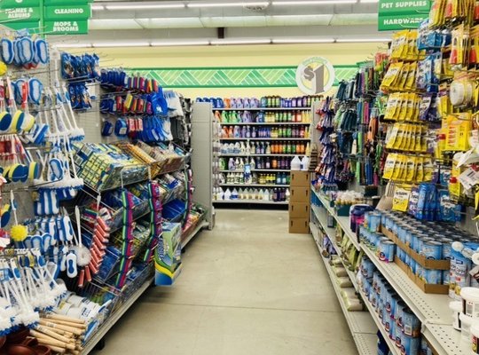 Dollar Tree, Brunswick GA (Perry Lane store)