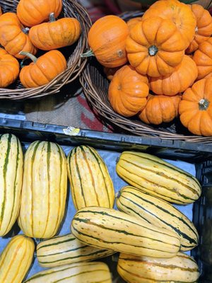 Squashes & pumpkins