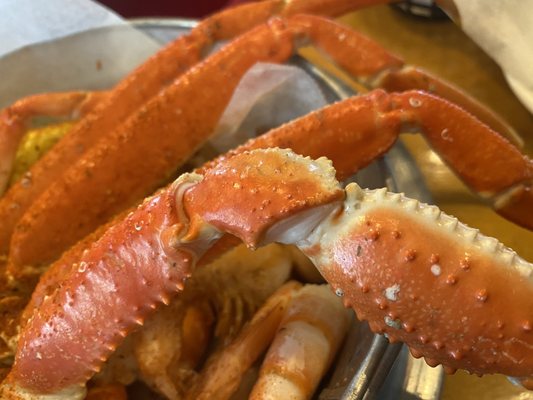 Snow Crab Bucket