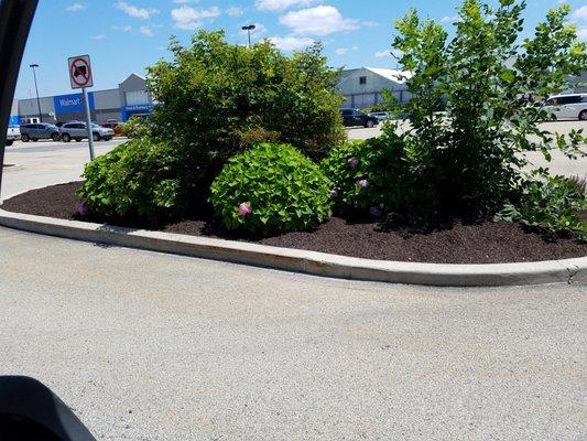 We do landscaping install and removal commercial and residential