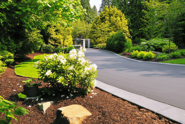 Commercial, HOA, and business landscaping