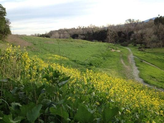 Gorgeous view from the top of the Hellyer course.