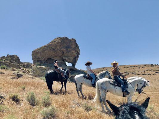 Golden Horse Mojave Ranch