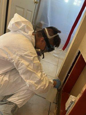 Mold remediation