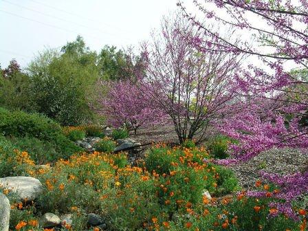 Palomares Park