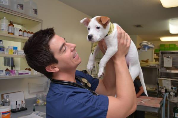 Puppy love from Dr. Bronold at Animal Medical Center of Tuscaloosa, AL