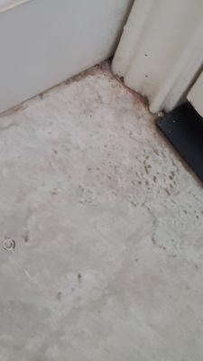 Moldy dirty bathroom